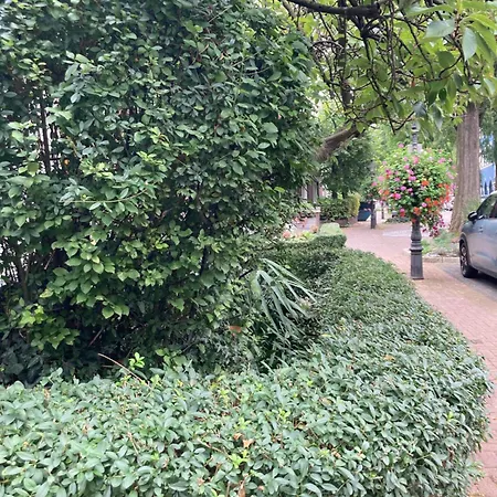 Premium Ruhiges Ganzes 90 M 2 Schlafzimmer Grosse Kueche Wohnzimmer * Duisburg