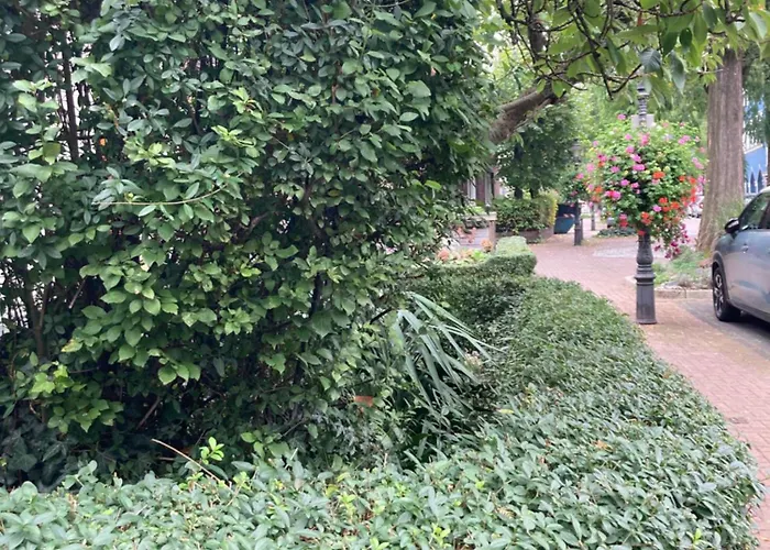 Premium Ruhiges Ganzes 90 M 2 Schlafzimmer Grosse Kueche Wohnzimmer * Duisburg